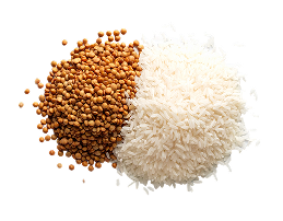 Rice & lentils